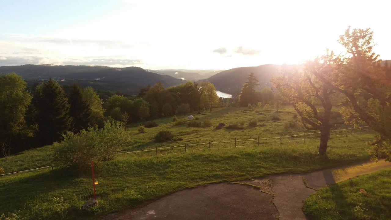 Studio Des Gouttridos Leilighet Gérardmer Eksteriør bilde